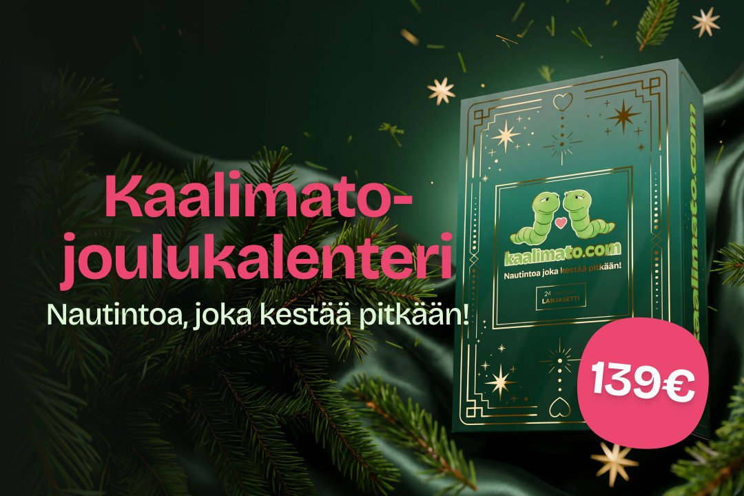 Joulukalenteri 2026
