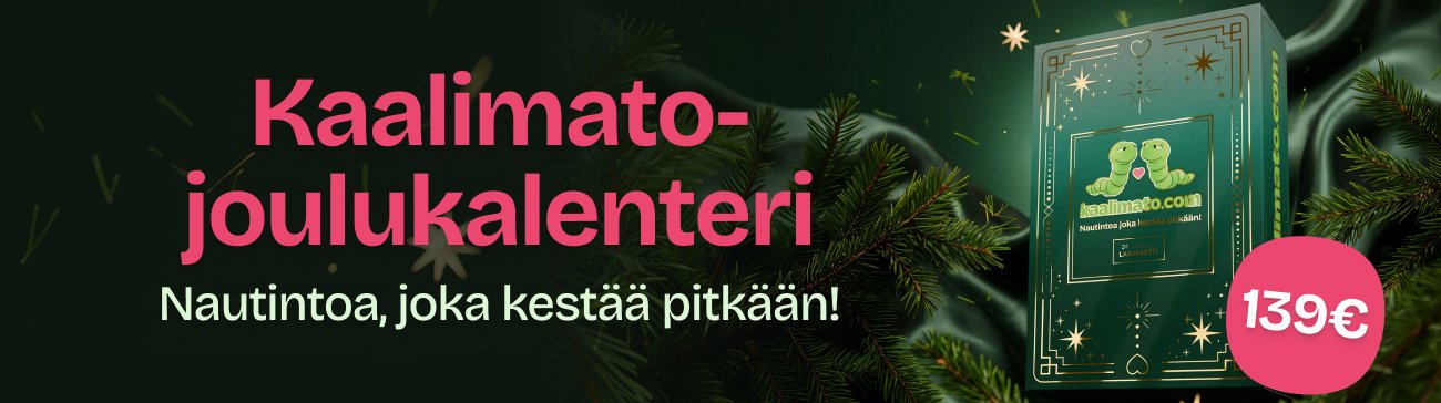 Joulukalenteri 2026