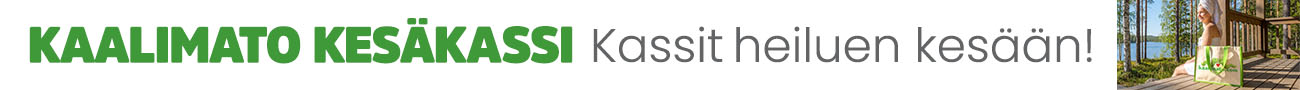 Kaalimadon kesäkassi