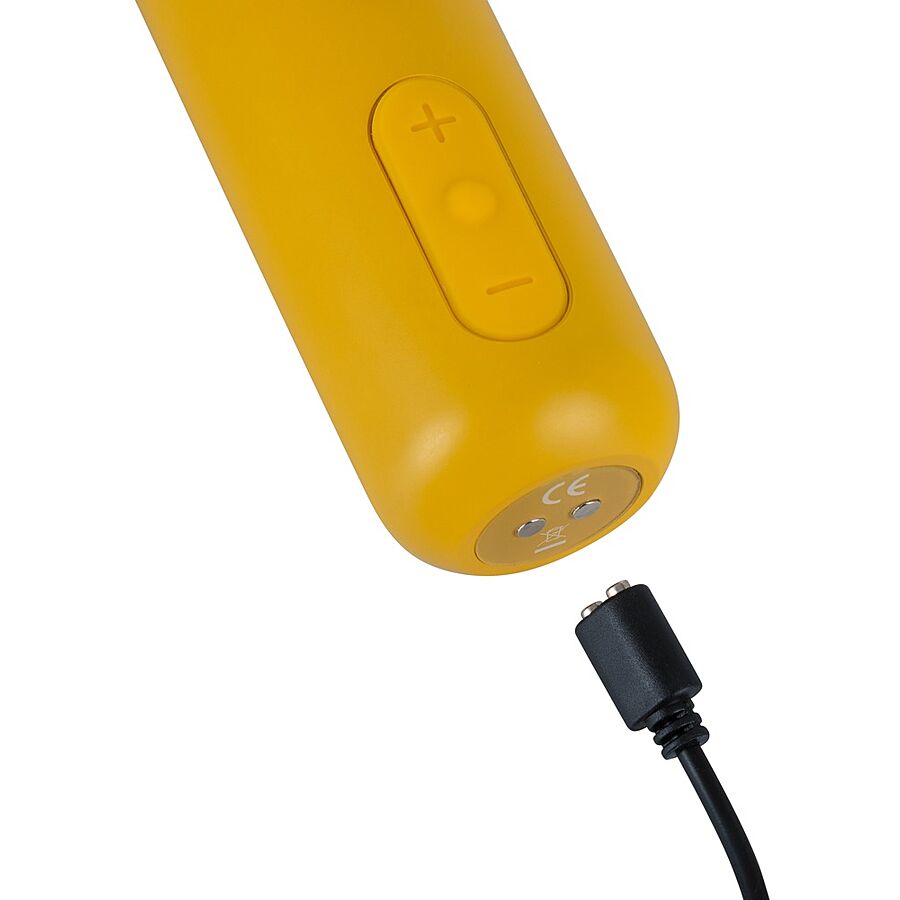 Your New Favourite - Wand Massager 