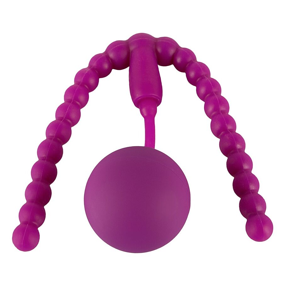 Intimate spreader pussy gym