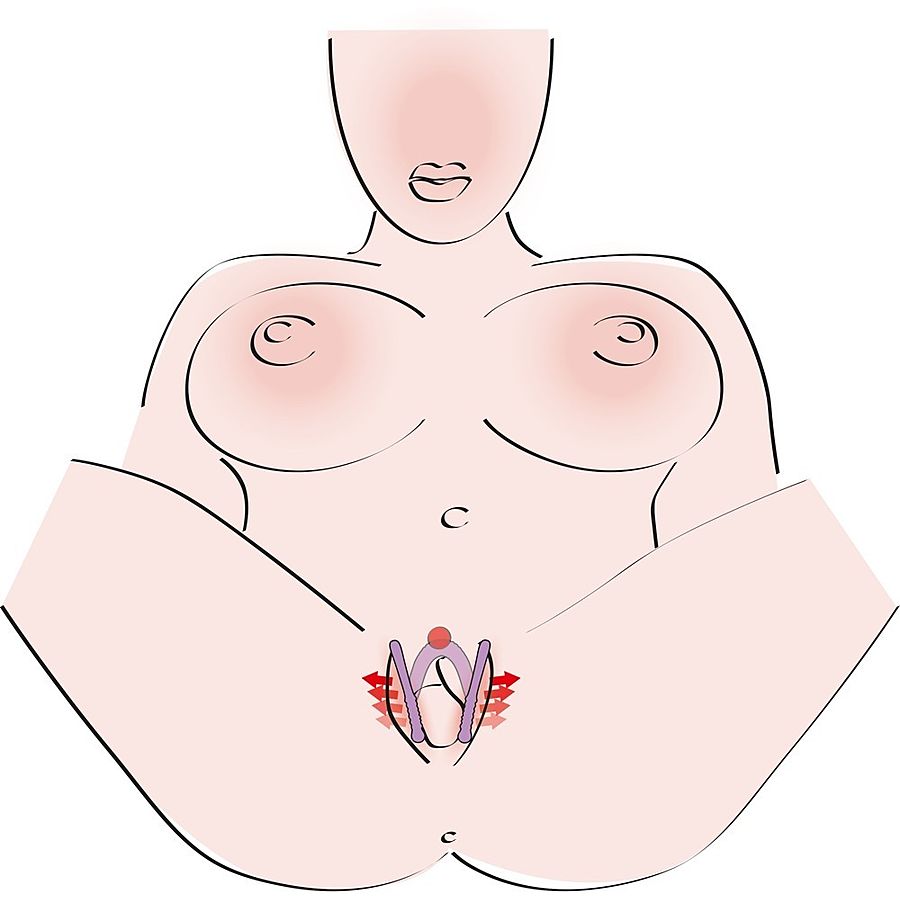 Intiimialueen levittj 