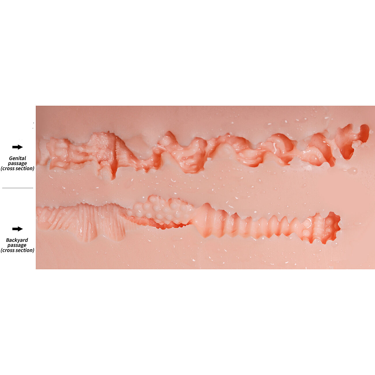 SOHIMI Doris - Tekovagina ja -anus