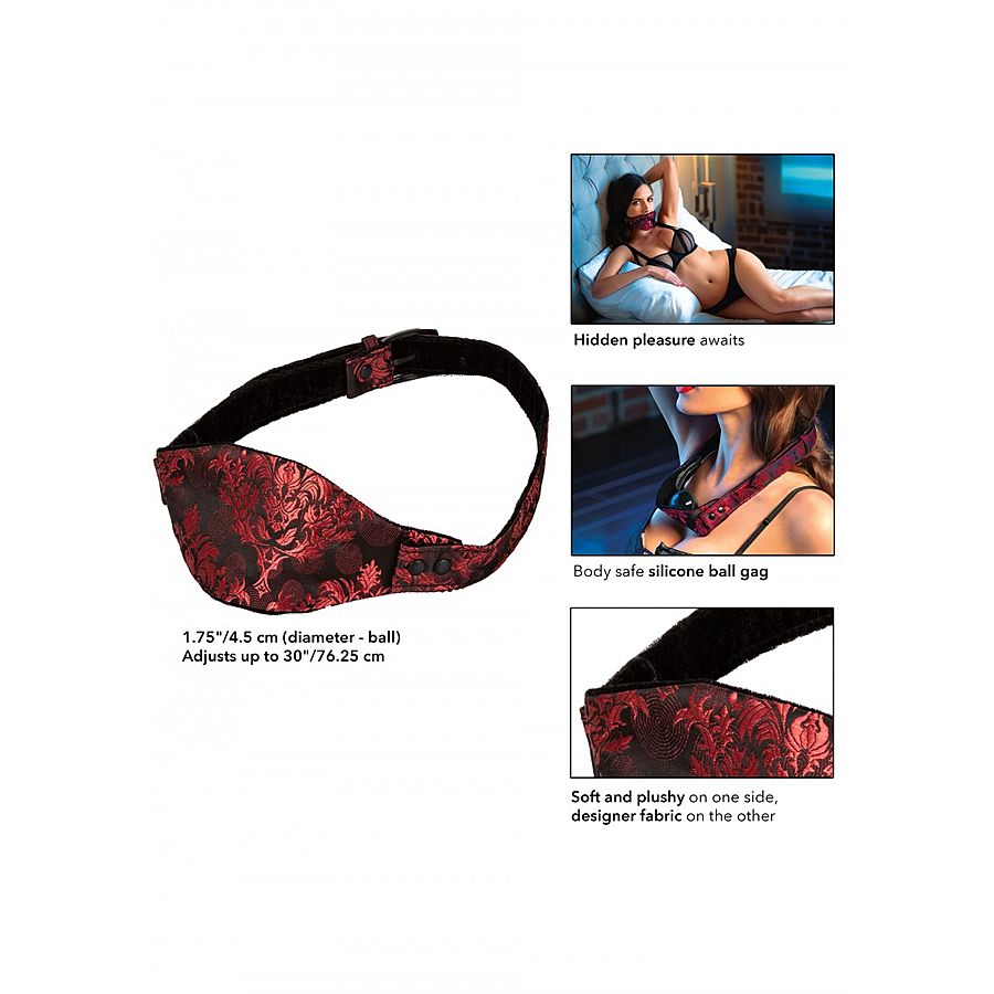 Scandal - Hidden Pleasure Ball Gag