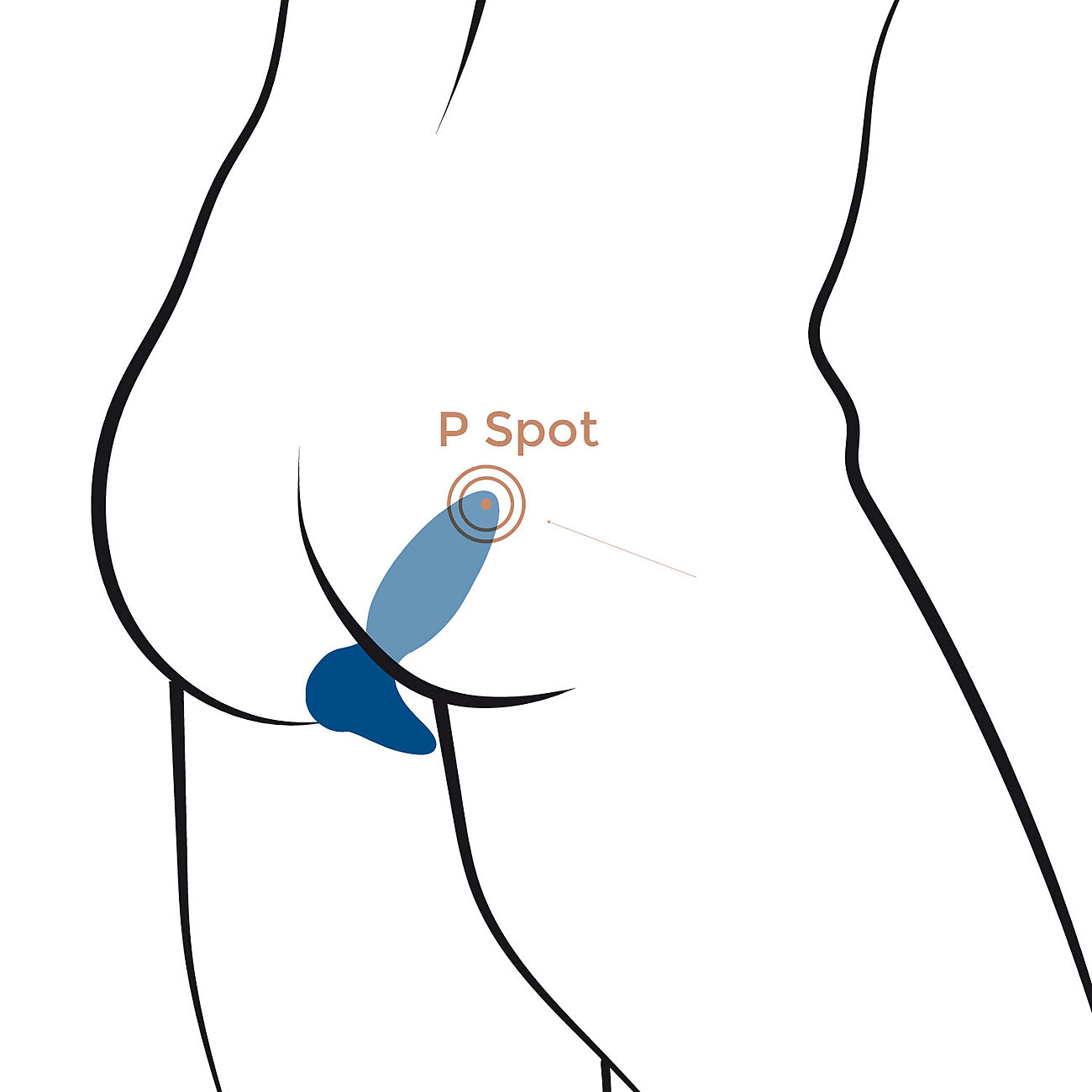 Little Rocket 2.0 - Vrisev anaalitappi