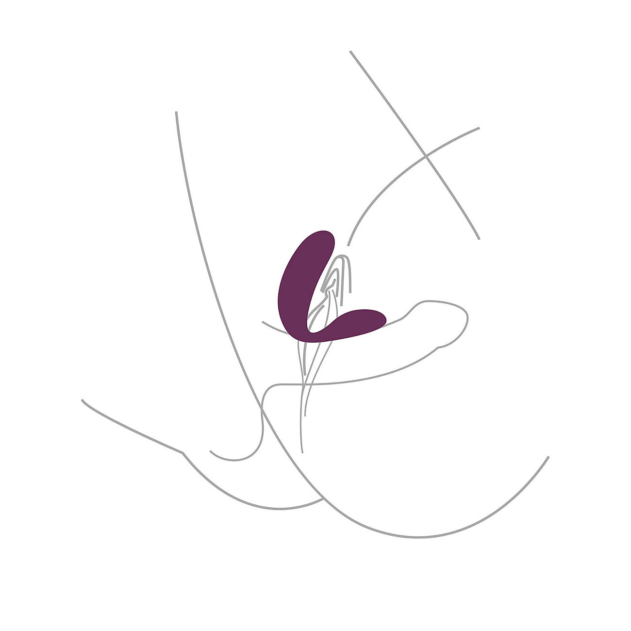 Xocoon Bound Love - Pariskuntavibraattori