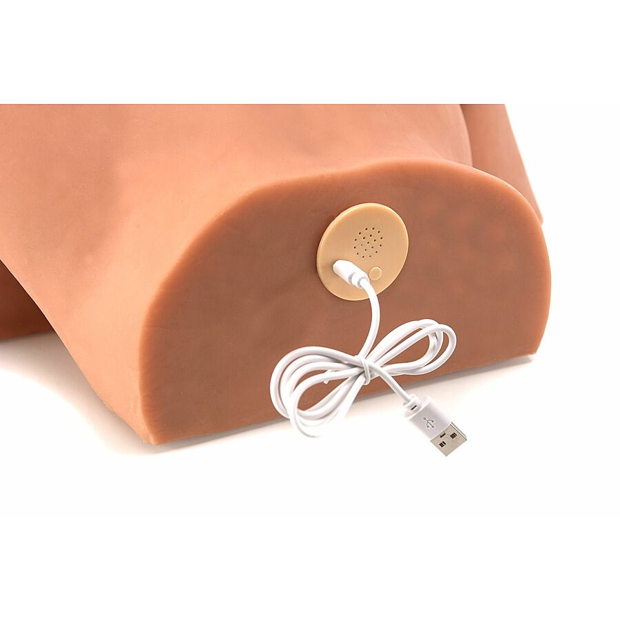 ZENN Pamela's Wild Shaking Ass - Tekovagina ja -anus v�rin�ill�