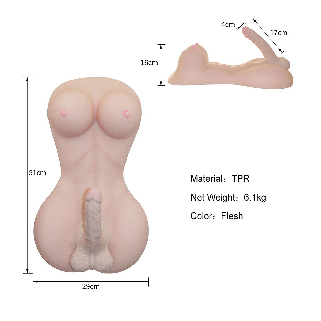 She-male seksinukketorso