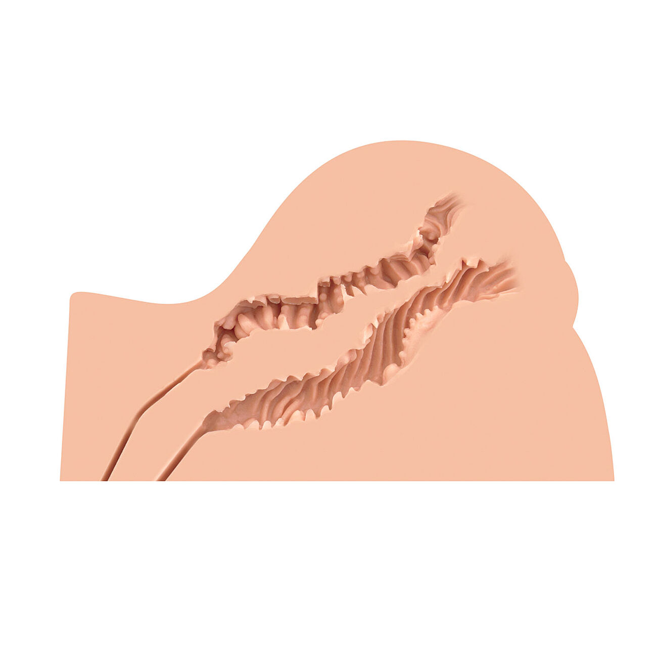 Naked Factory - Kate seksinukketorso