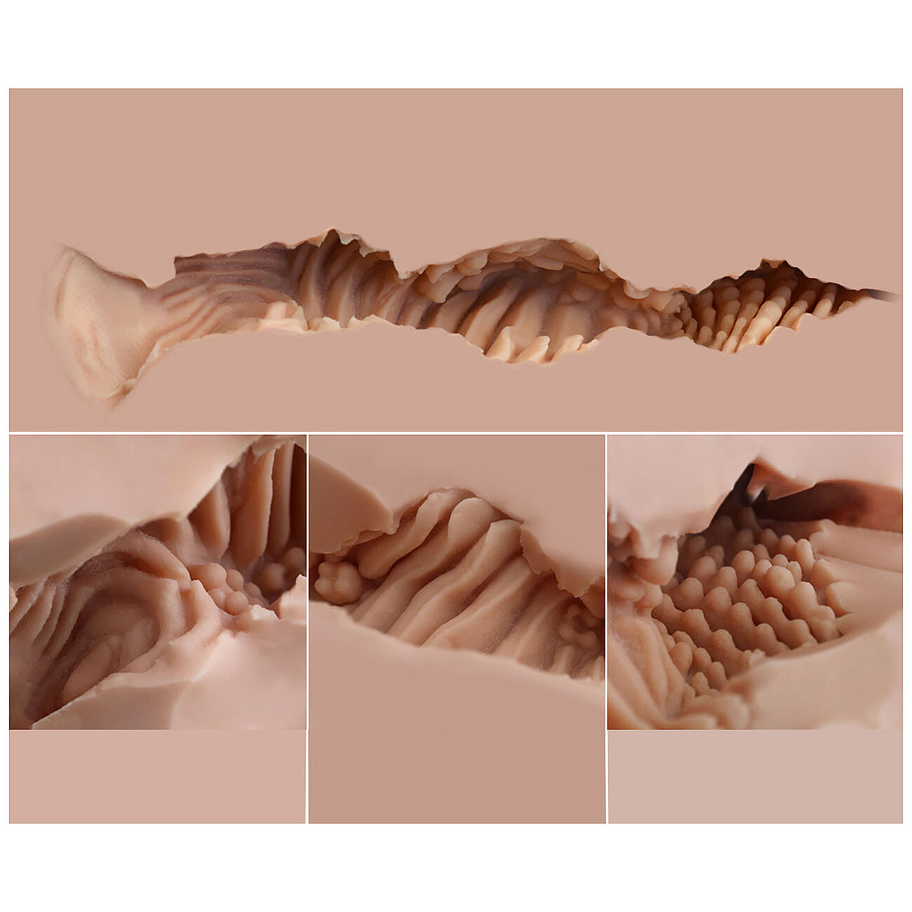 Naked Factory - Nicole seksinukketorso