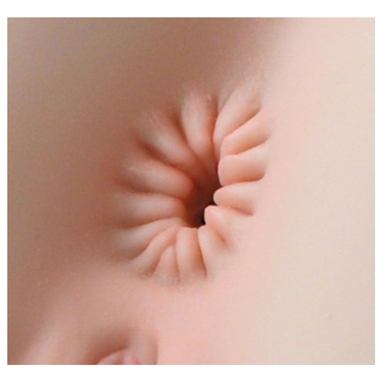 Naked Factory - Nicole seksinukketorso