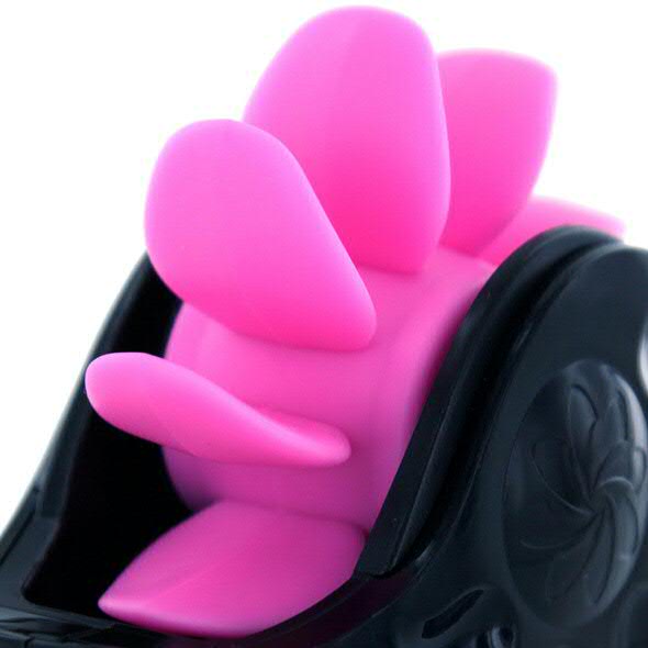 Sqweel 2 - Black