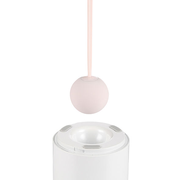 IMTOY - Candy, Personal trainer