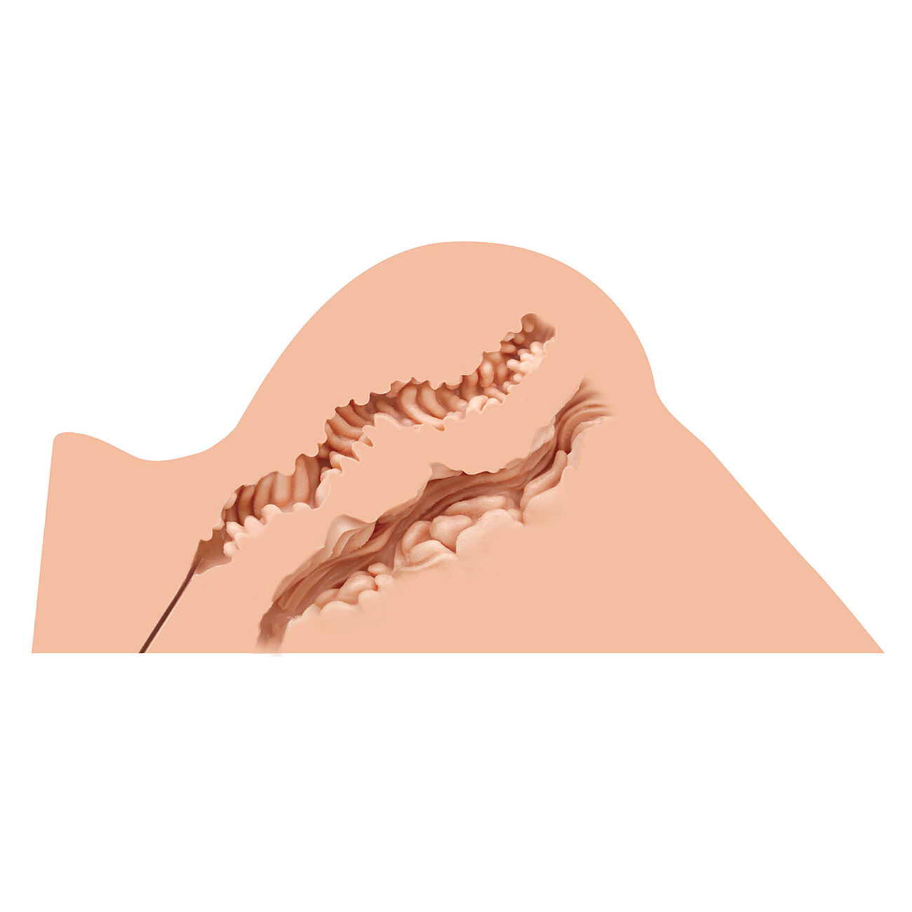 Naked Factory - Hannah seksinukketorso