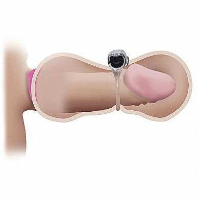 Anal Cocktrainer