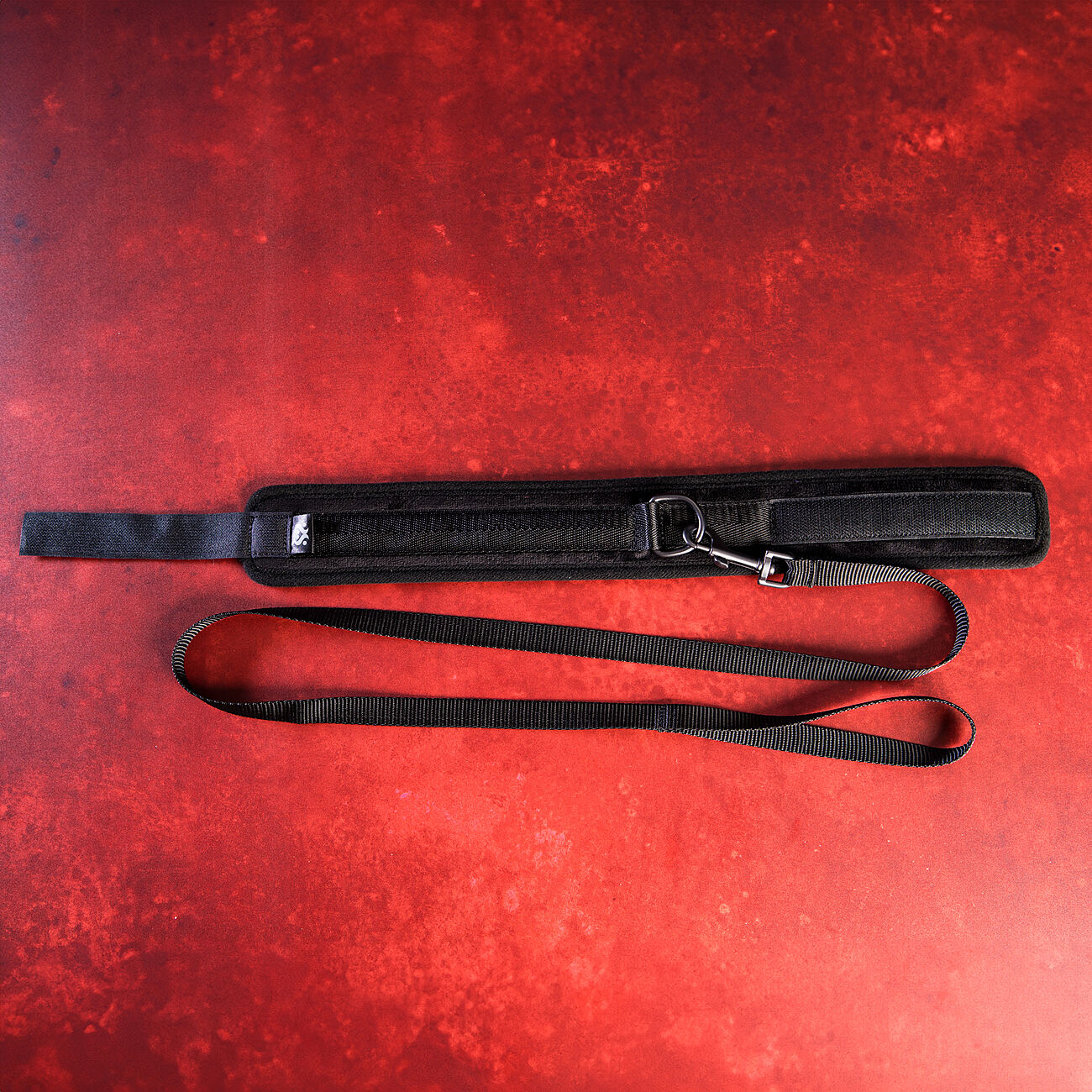 SEI MIO Take the Lead - Kaulapanta ja talutushihna