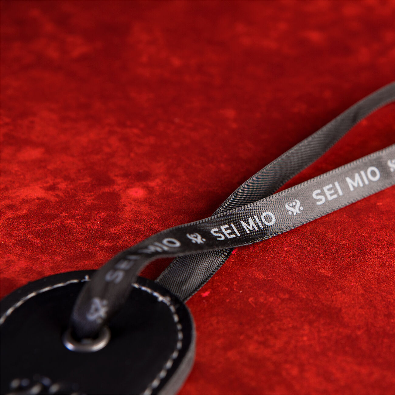 SEI MIO Roundly Chastised - Ltk