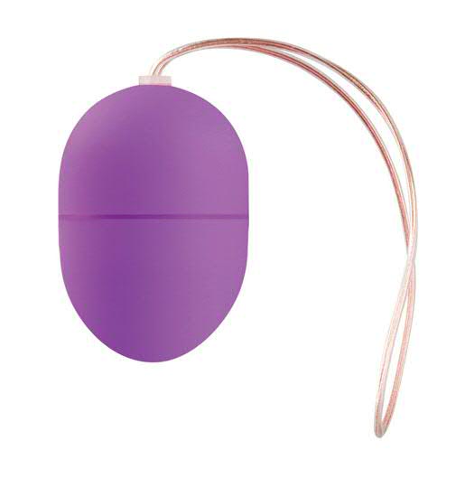 Small Vibrating Egg Remote, Purple