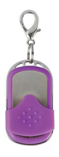 Small Vibrating Egg Remote, Purple