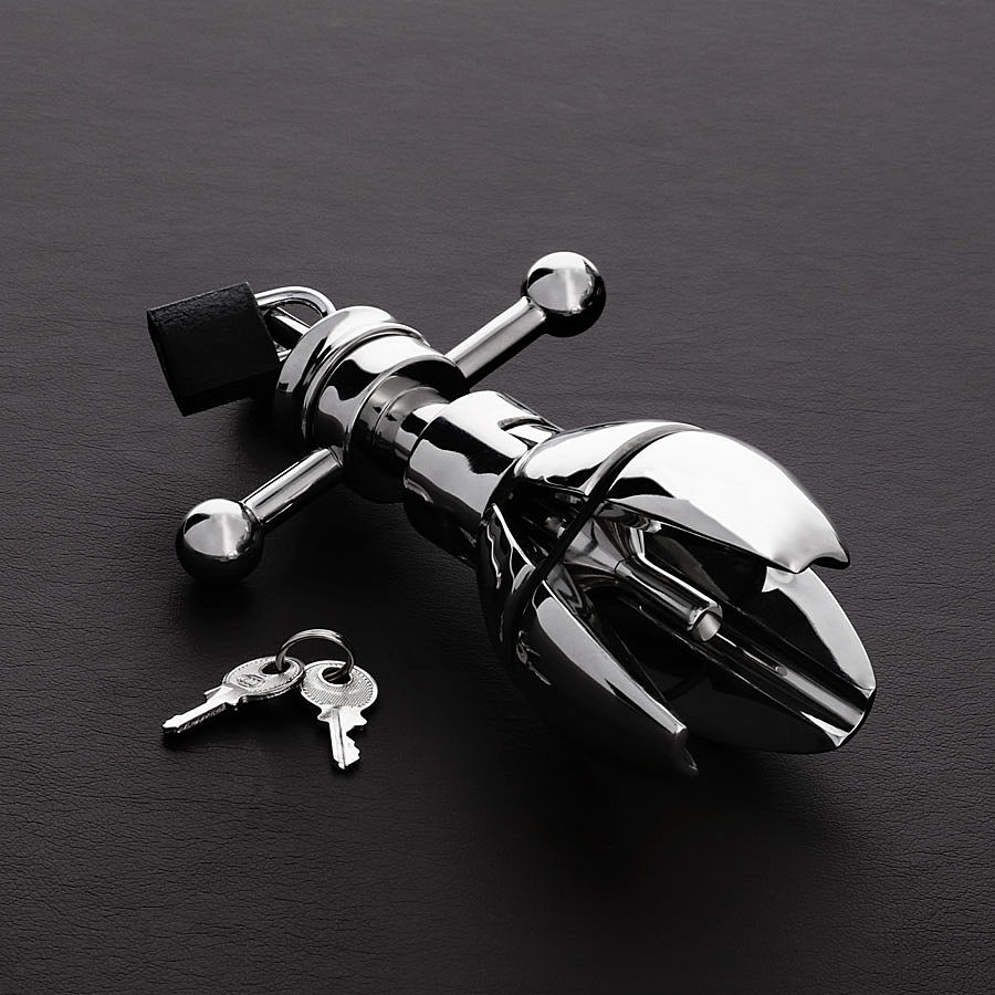 The Ultimate Asslock