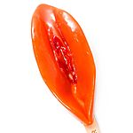 Pussy Lolly by Micaela Sch�fer