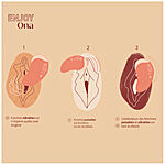 Ona Bouche Bee - Imev� klitoriskiihotin