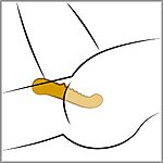 Your New Favourite - G-pistevibraattori