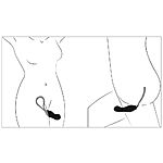 Perfect Fit - Strapless strap-on