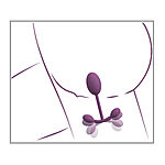 Vaginal Trainer - Treenikuula pomppivilla painoilla