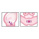 Intimate spreader pussy gym