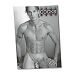 Real Cocks - Poikakalenteri 2027