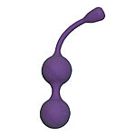 Vibio - Clara moottoroidut geishakuulat