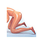 Chasey Lain Fantasy Playmate