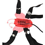 Mini Butterfly, Perhoskiihotin