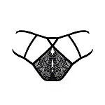 Passion Trini - Avotangat