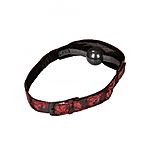 Scandal - Hidden Pleasure Ball Gag