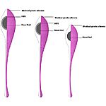 Gee geishakuulasetti, violetti