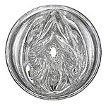 Fleshlight Quickshot Stoya - Tuplamasturbaattori