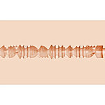 Fleshlight Girls Gina Valentina Stellar - Tekovagina