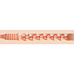 Fleshlight Girls Jenna Haze Obsession - Tekovagina