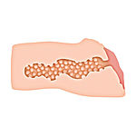 Zero Tolerance - Alexis Texas Stroker 