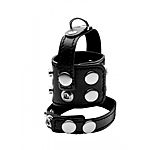 STRICT - Penis-kivesremmi