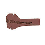 Private To Go Pussy - Sexy Sista, Tekovagina