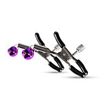 Secret Pleasure Chest 