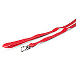 Secret Pleasure Chest 