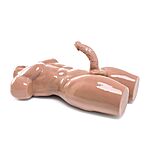 ZENN Darius - Seksinukke