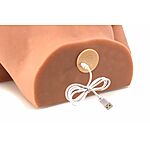 ZENN Pamela's Wild Shaking Ass - Tekovagina ja -anus v�rin�ill�