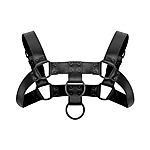 Bedroom Fantasies Bruno - Rintaharness