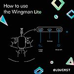 Blowcast Wingman Lite - Masturbaattori