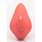 Clandestine Devices - Companion